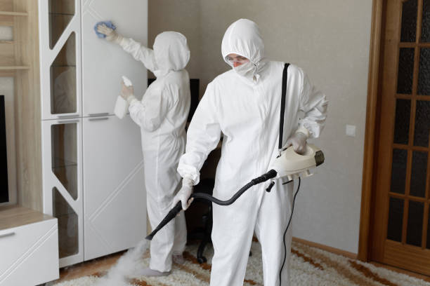 Best Local Mold Removal Service  in Laurel, VA