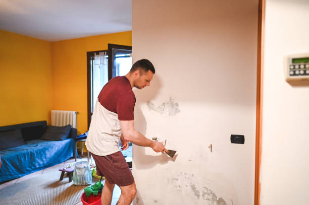 Best Commercial Mold Removal  in Laurel, VA